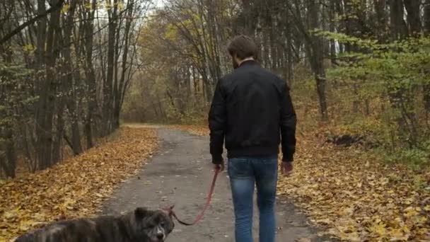 Brutal morena paseando a un perro en el parque de otoño. Autoaislamiento en la naturaleza durante una epidemia — Vídeos de Stock
