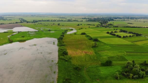 Een drone vlucht over de overstroomde rivier de Dnjestr. Opwarming van de aarde — Stockvideo