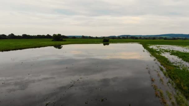 Woda na polu Powodzie i utrata upraw rolnych. Globalne ocieplenie i wylesianie — Wideo stockowe