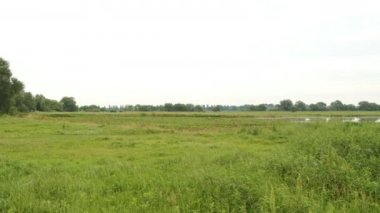 Tarlada su baskını ve tarım ürünlerinin kaybı. Küresel ısınma ve ormansızlaşma