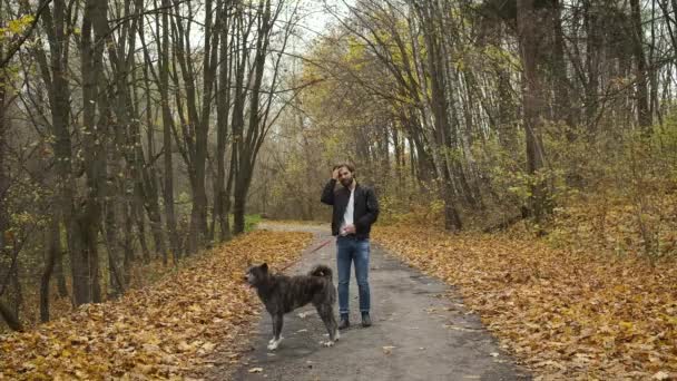 Brutal brunette walking a dog in the autumn park. Self-isolation in nature during an epidemic — Stock Video