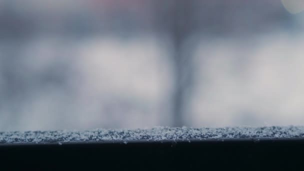 Chute de neige moelleuse sur le rebord de la fenêtre — Video