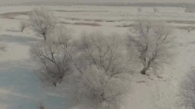 İnsansız hava araçları güzel doğa üzerinde uçuyor. Soğuk bir günde karla kaplı ağaçlar. Bir kış masalı