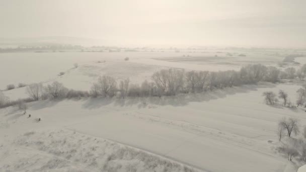 Drohnenflug über schöner Natur. Bäume, die an einem frostigen Tag mit Schnee bedeckt sind. Ein Wintermärchen — Stockvideo
