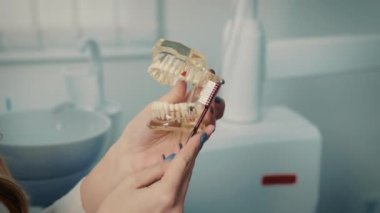 Kadınların elleri dişçi muayenesinde oturan bir çene modelini titretiyor.