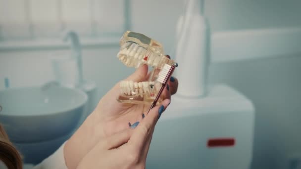 Женщины пожимают руку модели челюсти, сидя у стоматолога на стоматологической консультации — стоковое видео