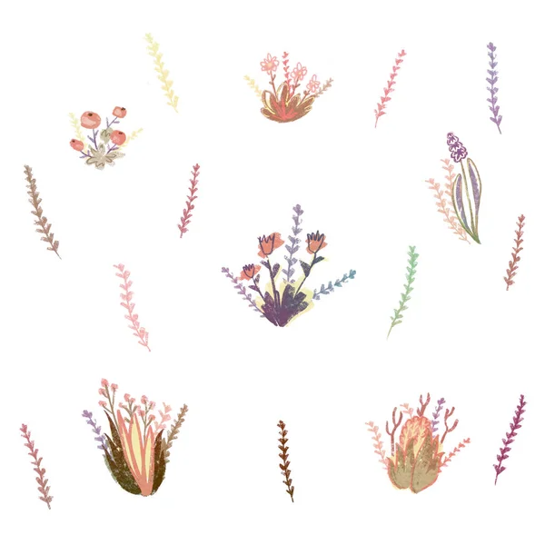 Botanisk Illustration Pastellfärger Uppsättning Växter Och Blommor Sömlöst Mönster För — Stockfoto