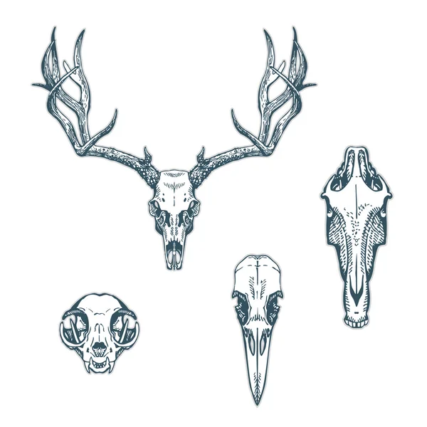 hayvan kürek geyik at kedi karga ayarla