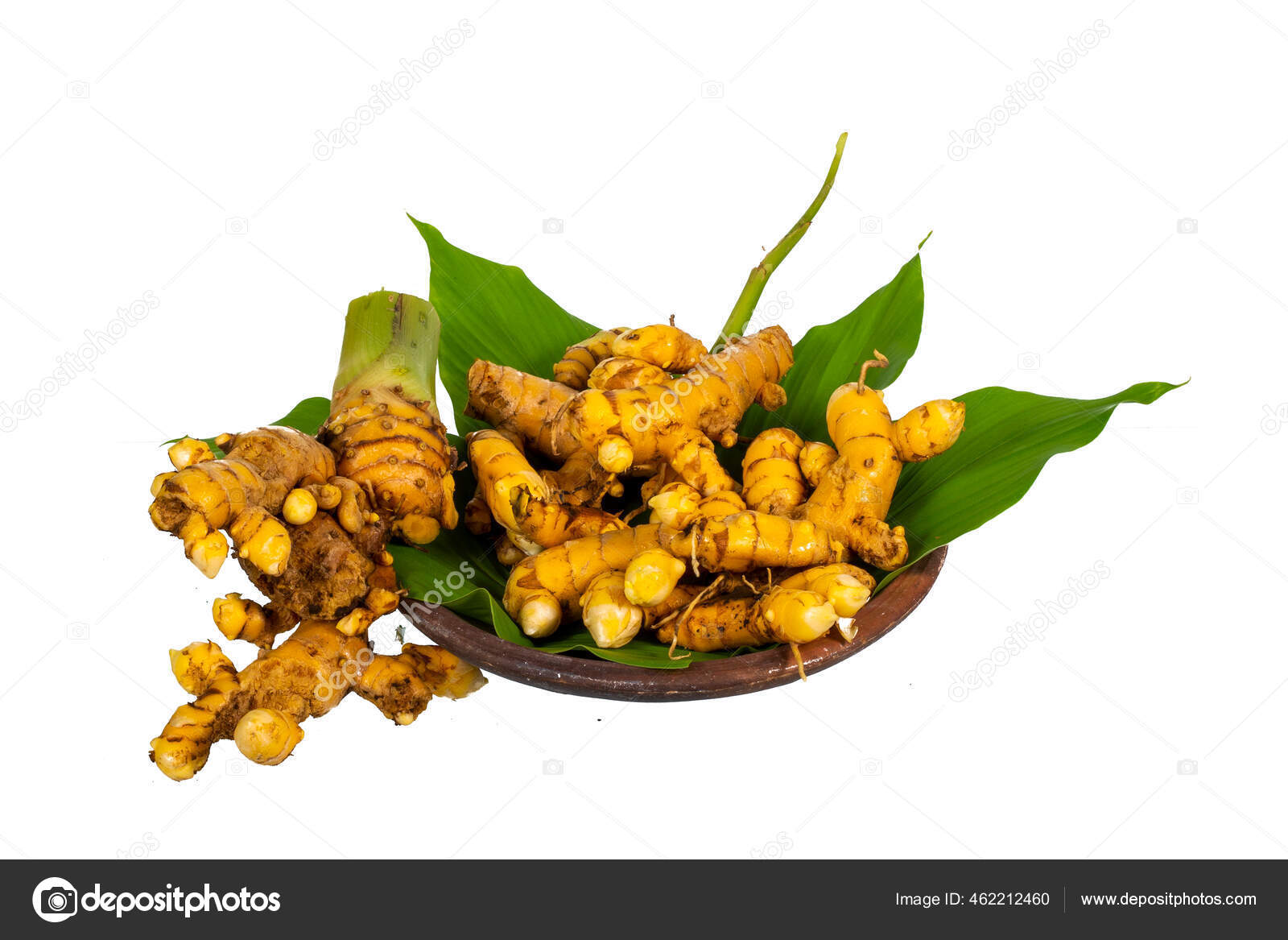 58 Temulawak Stock Photos Images Download Temulawak Pictures On Depositphotos