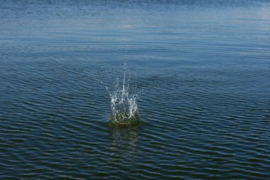 Su damlası, koyu mavi bir zeminde dalgalar ve dalgalanmalar yaratır..