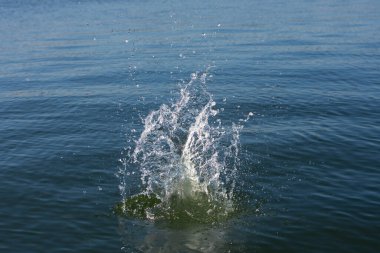 Su damlası, koyu mavi bir zeminde dalgalar ve dalgalanmalar yaratır..