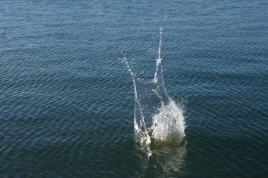 Su damlası, koyu mavi bir zeminde dalgalar ve dalgalanmalar yaratır..