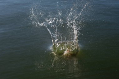 Su damlası, koyu mavi bir zeminde dalgalar ve dalgalanmalar yaratır..