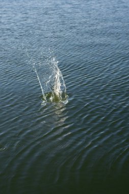 Su damlası, koyu mavi bir zeminde dalgalar ve dalgalanmalar yaratır..