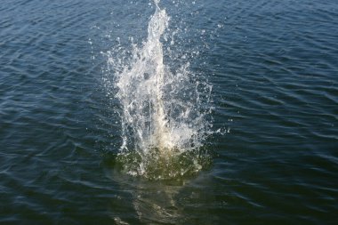 Su damlası, koyu mavi bir zeminde dalgalar ve dalgalanmalar yaratır..