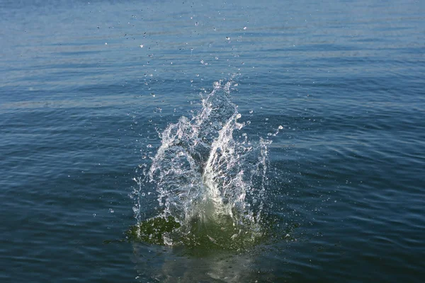 Su damlası, koyu mavi bir zeminde dalgalar ve dalgalanmalar yaratır..