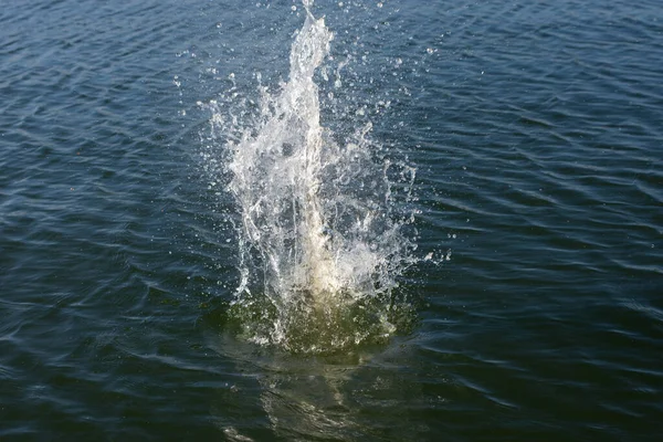 Su damlası, koyu mavi bir zeminde dalgalar ve dalgalanmalar yaratır..