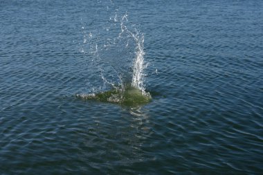 Su damlası, koyu mavi bir zeminde dalgalar ve dalgalanmalar yaratır..