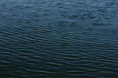 Su damlası, koyu mavi bir zeminde dalgalar ve dalgalanmalar yaratır..