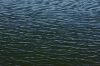 Su damlası, koyu mavi bir zeminde dalgalar ve dalgalanmalar yaratır..