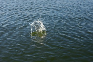 Su damlası, koyu mavi bir zeminde dalgalar ve dalgalanmalar yaratır..
