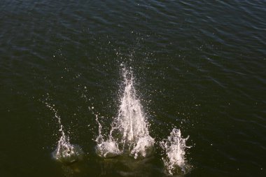 Su damlası, koyu mavi bir zeminde dalgalar ve dalgalanmalar yaratır..