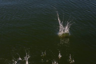 Su damlası, koyu mavi bir zeminde dalgalar ve dalgalanmalar yaratır..