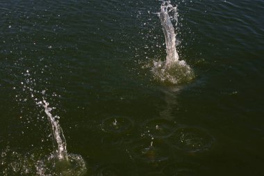 Su damlası, koyu mavi bir zeminde dalgalar ve dalgalanmalar yaratır..