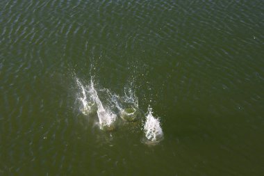 Su damlası, koyu mavi bir zeminde dalgalar ve dalgalanmalar yaratır..