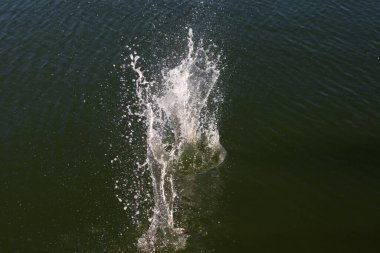 Su damlası, koyu mavi bir zeminde dalgalar ve dalgalanmalar yaratır..