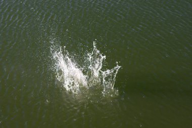 Su damlası, koyu mavi bir zeminde dalgalar ve dalgalanmalar yaratır..