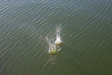 Su damlası, koyu mavi bir zeminde dalgalar ve dalgalanmalar yaratır..