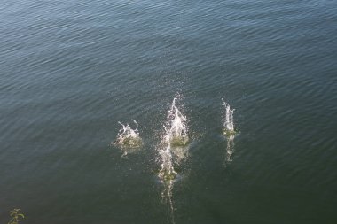 Su damlası, koyu mavi bir zeminde dalgalar ve dalgalanmalar yaratır..