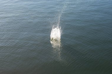 Su damlası, koyu mavi bir zeminde dalgalar ve dalgalanmalar yaratır..