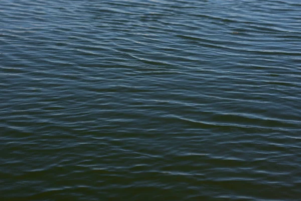 Gota Agua Creando Olas Ondulaciones Fondo Azul Oscuro —  Fotos de Stock