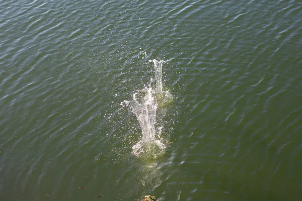Su damlası, koyu mavi bir zeminde dalgalar ve dalgalanmalar yaratır..