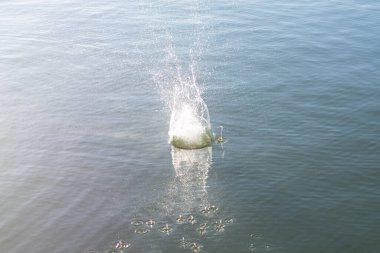 Su damlası, koyu mavi bir zeminde dalgalar ve dalgalanmalar yaratır..