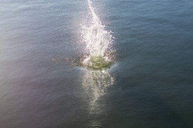 Su damlası, koyu mavi bir zeminde dalgalar ve dalgalanmalar yaratır..