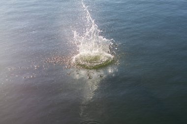 Su damlası, koyu mavi bir zeminde dalgalar ve dalgalanmalar yaratır..