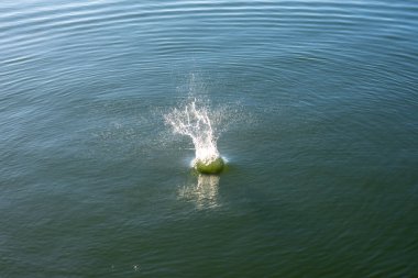 Su damlası, koyu mavi bir zeminde dalgalar ve dalgalanmalar yaratır..