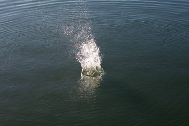 Su damlası, koyu mavi bir zeminde dalgalar ve dalgalanmalar yaratır..