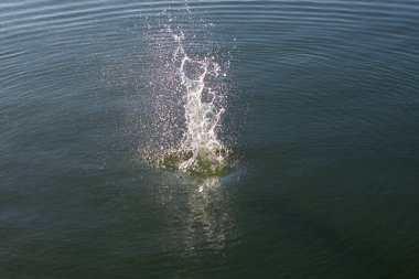 Su damlası, koyu mavi bir zeminde dalgalar ve dalgalanmalar yaratır..