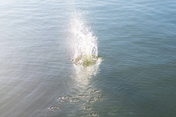 Su damlası, koyu mavi bir zeminde dalgalar ve dalgalanmalar yaratır..