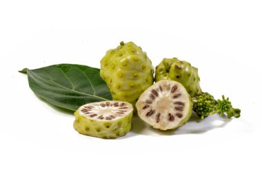 Polinezya tıbbi bitkisi, noni, yeşil yapraklı, ve küçük beyaz çiçekli düzensiz keskin meyveli. Morinda citrifolia, bilinen adıyla Great Morinda.