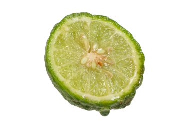 Ma-krut thai ismi veya Kaffir limonu veya sülük limonu veya Mauritius Papeda veya Bergamot. (Citrus hystrix DC.) Rutaceae