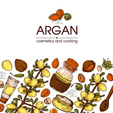 Argan ağacının meyve, fındık argümanları, yapraklar ve aksesuarlarla kompozisyonu elle çizilmiş çizimler, vektör botanik illüstrasyonu.