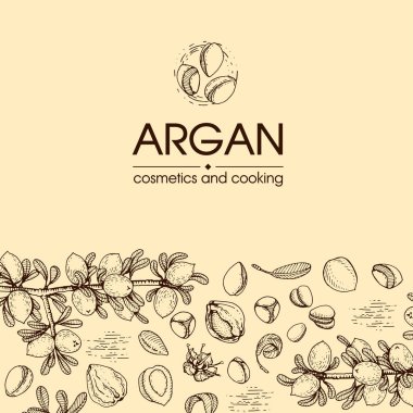 Argan ağacının meyve, fındık argümanları, yapraklar ve aksesuarlarla kompozisyonu elle çizilmiş çizimler, vektör botanik illüstrasyonu.
