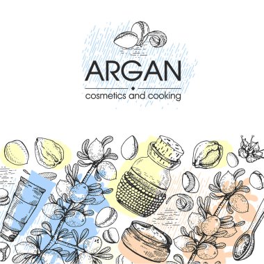 Argan ağacının meyve, fındık argümanları, yapraklar ve aksesuarlarla kompozisyonu elle çizilmiş çizimler, vektör botanik illüstrasyonu.