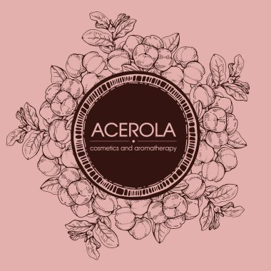 Dallı acerola, kiraz, meyve ve çiçekli çerçeve. Detaylı el çizimleri, vektör botanik çizimler.