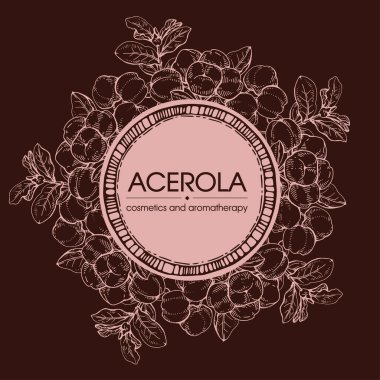 Dallı acerola, kiraz, meyve ve çiçekli çerçeve. Detaylı el çizimleri, vektör botanik çizimler.